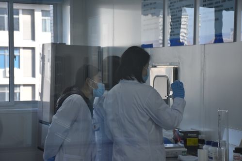 聚焦技术前沿 保障舌尖安全——河南省畜产品质量安全技术研究院创新发展研讨会在河南牧业经济学院召开